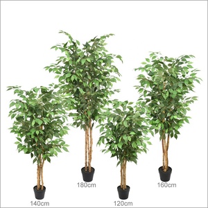 Nhà Máy Bán Giá Rẻ Cây Giả Nhà Máy Ficus Bonsai Nhân Tạo <span class=keywords><strong>Banyan</strong></span> Cây Bonsai Hoa - Product Image 4