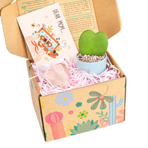 กล่องของขวัญวันแม่พร้อมสบู่รูปหัวใจและพืชอวบน้ำหัวใจ Hoya kerrii ขนาดเล็ก - Product Image 3