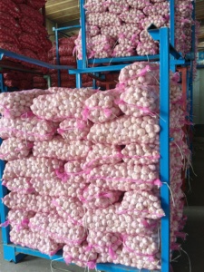 批发新鲜大蒜中国产地供应商低价大蒜来自中国制造的Ajo壁画 - Product Image 6