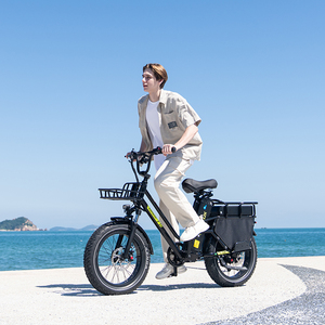 จักรยานไฟฟ้า X8 Lithium 48V 35+30AH มอเตอร์ไร้แปรงถ่าน 250W ระยะทาง 180-220 กม. ระบบเกียร์ 7 สปีด โช้คหน้า 20*4.0" X8 X8 - Product Image 5
