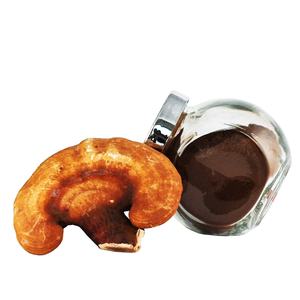 10% טהורים 20% 30% 40% 50% פוליסכריד גנום לוסידום פטריות - Product Image 2