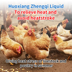 Veterinärkräuter-Flüssiglösung 250ml für Geflügel und Schweine, Mineralien und Spurenelemente in Futtermittelqualität, fördert die Ernährung und gesundes Futter - Product Image 2