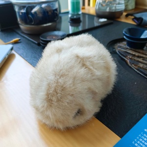 Robot animal de compagnie IA pour enfants, robot intelligent avec modèle IA local, jouets en peluche IA, <span class=keywords><strong>abonnement</strong></span> gratuit - Product Image 3