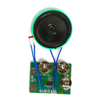 Modul Sensor Cahaya dan Suara untuk Kartu Ucapan, Dikendalikan oleh Pemasok Cahaya, Barang Keselamatan Berkualitas