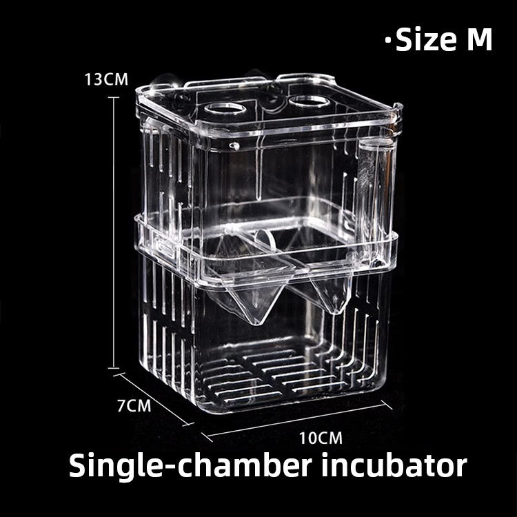 โปร่งใสขนาด M (เดี่ยว)