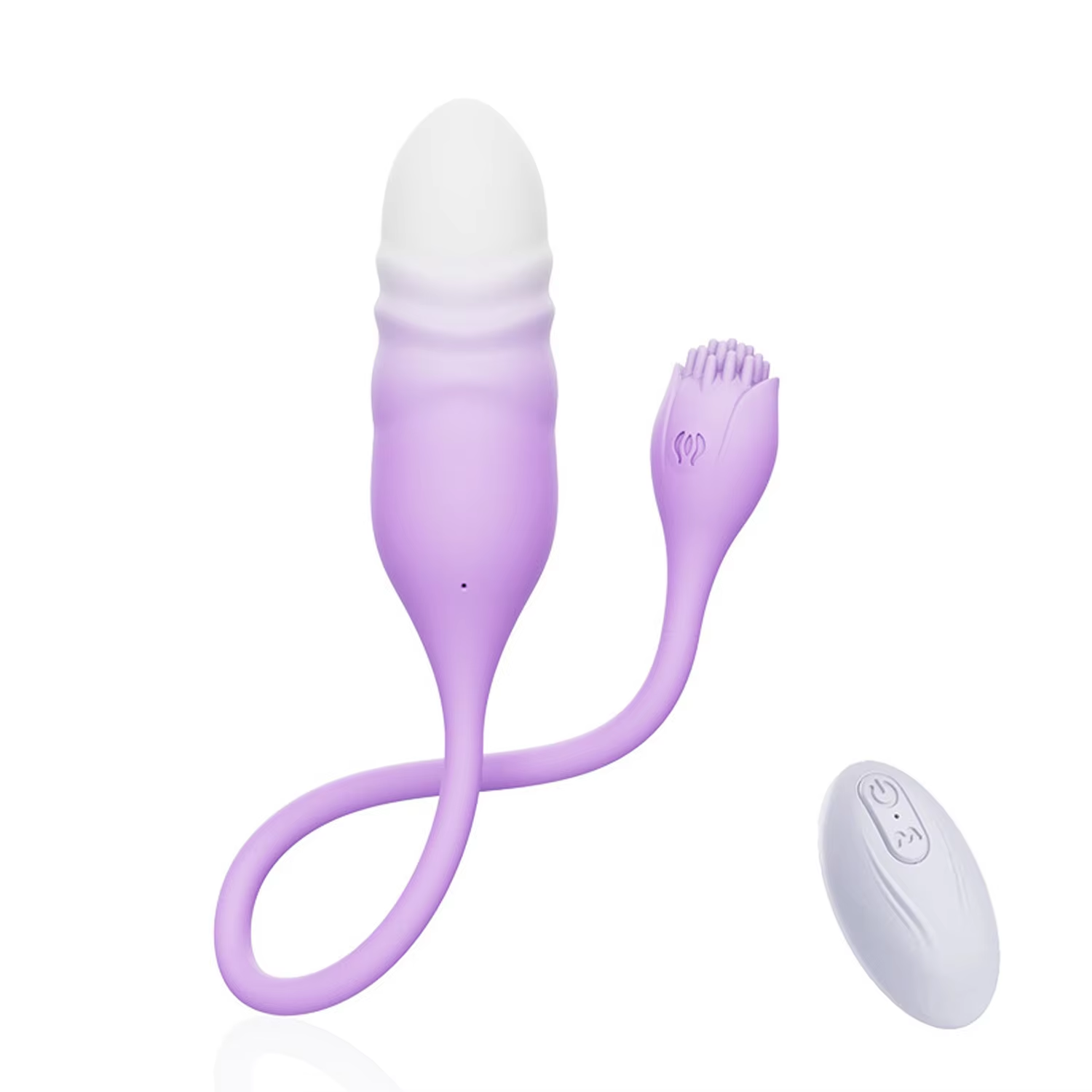 สีม่วงสีขาวไล่ระดับสี