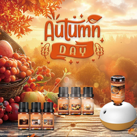 Ensemble d'huiles parfumées d'automne : Huile parfumée d'automne, Épices de citrouille, Cannelle, Cidre de pomme, Vanille, Sucre pour diffuseur, bougie, savon, bombe de bain, DIY