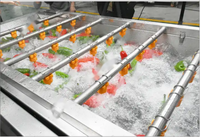 Hoog efficiënte roestvrijstalen fruit- en groentewasmachine met motorpomp voor reiniging, drogen en energiebesparing