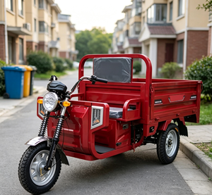 Triciclo Eléctrico <span class=keywords><strong>Wolverine</strong></span> de Carga con Certificación DOT, Precio de Fábrica, 400 kg de Carga Útil y 70 km/h de Velocidad, Tanzania del Sur - Product Image 3