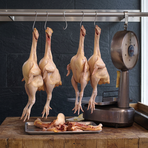 Poulet entier congelé de qualité A, cartons (10-20 kg), approvisionnement en vrac pour la distribution alimentaire, origine Afrique du Sud - Product Image 4