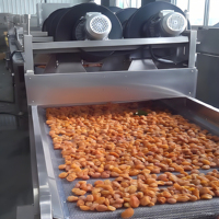 Lavadora de verduras automática multiusos para zanahorias, patatas, manzanas envasadas, producción eficiente, Eliminación de Pesticidas de barro de bajo ruido
