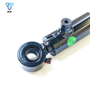 מכירה חמה צילינדר הידראולי איכותי Br 74147 חלקי הידראוליקה מקוריים למשאיות כבדות עם אחריות לשנה - Product Image 5