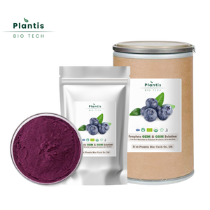 Pó de Fruta de Mirtilo Orgânico Natural de Alta Qualidade Liofilizado - Product Image 3