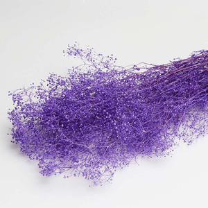 Vente en gros de fleur de rêve séchée millions d'étoiles préservée Décoration de la maison pour l'obtention du diplôme Noël Nouvel An chinois et fête des pères - Product Image 2