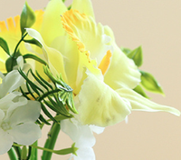 Plante artificielle en pot d'orchidée Phalaenopsis, fausse orchidée papillon avec pot en céramique blanc cylindrique pour la maison