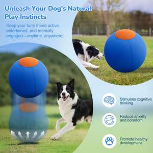 Balle de dressage interactive extra-large et durable pour chiens et chevaux, idéale pour les chiens de type berger <span class=keywords><strong>australien</strong></span> - Product Image 2
