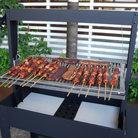 Grilles de grillades réglables Grille de barbecue argentine Grilles en acier inoxydable Santa Maria Barbecue au charbon de bois