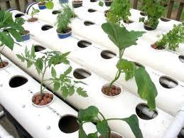 <span class=keywords><strong>Serre</strong></span> à cadre en <span class=keywords><strong>A</strong></span> pour la culture hydroponique de légumes, de laitues et de salades, système de canaux en PVC NFT - Product Image 6