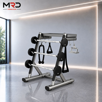 Support de rangement professionnel pour haltères de gym, adapté à un usage commercial et domestique