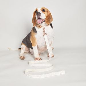 Collar de Boda Único para Perro Blanco con Hebilla de Metal Dorado Rosa y Correa para Perros Cumpleaños - Product Image 5