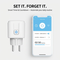Enchufe Inteligente MVAVA 16a Eu con Zigbee Tuya Wifi, Enchufe Inteligente con Carcasa de Plástico, Compatible con Alexa