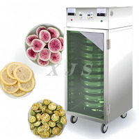 Far-Infrarood Ray Droogkorrels Gevriesdroogd Rundvlees Jerky Snacks Cacaobonen Groenten Droge Vruchten Noten Dehydrator