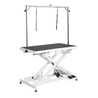 Table de toilettage élévatrice électrique pliable spéciale pour animaux de compagnie