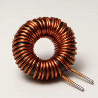 Bobine d'induction toroïdale personnalisée Landa en fil de cuivre émaillé, certifiée ISO9001:2015, livraison rapide – Vente directe usine