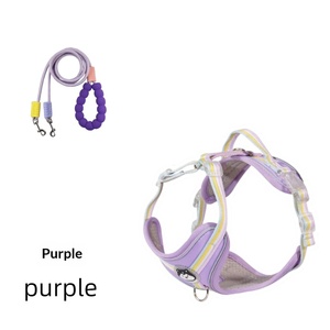 <span class=keywords><strong>Harnais</strong></span> pour chien, laisse en nylon anti-explosion en forme de I, sangle de poitrine pour promener son chien et faire du jardinage en extérieur - Product Image 1