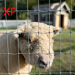 Hot nhúng mạ kẽm 4ft 6ft cừu đồng cỏ kraal mạng đồng cỏ hàng rào gia súc hàng rào Net bán buôn số lượng lớn gia súc hàng rào - Product Image 6