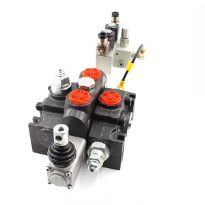 Van thủy lự<span class=keywords><strong>c</strong></span> 2 vị trí | mô hình dcv200 | nhà máy trự<span class=keywords><strong>c</strong></span> tiếp và tùy chỉnh - Product Image 3