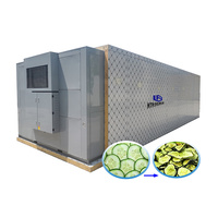 Tomaat Papaja Garnaal Groen Blad Fruit En Plantaardige Droogmachine Leverancier