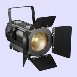 600 ואט LED אור יום צילום מצלמה סטודיו וידאו סרט RDM דו צבע לשטוף זום 600W COB LED פרנל ספוט אור עם Barndoor