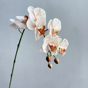 ดอกไม้ประดิษฐ์ขายส่ง 83 ซม. ทำด้วยมือจากยางลาเท็กซ์ กล้วยไม้ฟาแลนนอปซิส สำหรับตกแต่งบ้าน ปีใหม่ - Product Image 4