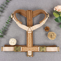 Harnais pour chien personnalisé avec logo, ensemble léger et réglable anti-traction, gilet pour animal de compagnie en cuir PU et nylon, laisse en corde ronde