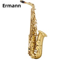 SAX Alto Drop E Saxophone Instrument Brass Brushed Blue Lacquer Beginner Playing Style Y-AS-860