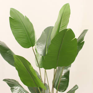 ต้นปาล์มประดิษฐ์ JWS4022 คุณภาพสูง ผลิตด้วยมือ หรูหรา เป็นมิตรกับสิ่งแวดล้อม ขนาดสั่งทำได้ 150-170 ซม. ต้นไม้จำลองในร่มแบบบอนไซ - Product Image 3