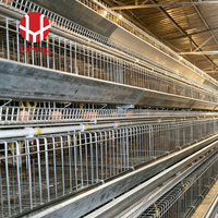 Équipement d'élevage avicole : Cage de ponte de type A à 4 niveaux avec collecte automatique des œufs, courroie à fumier, abreuvoir à tétine et système d'alimentation galvanisé