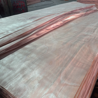 Placage de bois naturel écologique en okoumé du Gabon, coupe rotative, texture lisse pour applications de surface décorative de meubles en contreplaqué