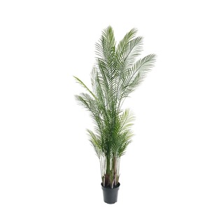 ต้นปาล์มมีหางเทียมป้องกันรังสี UV สำหรับใช้ในร่มต้นไม้เอเวอร์กรีนทนไฟ - Product Image 2