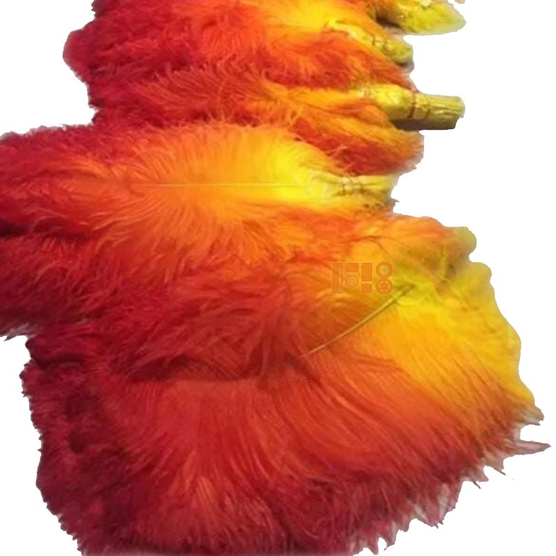 Feather Supplier Colorful Bleached and Dyed