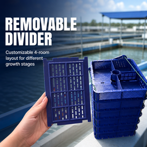 Nuevo Diseño 2025: Tanque de Cría y Cultivo de Langostas para Exteriores, Anti-Escape, de Plástico Reforzado, Cajas para Cangrejos y Cangrejos de Río - Product Image 2