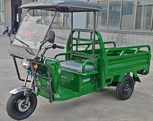 Camioneta Eléctrica Mini de Fácil Uso en Oferta, Capacidad de Carga de 200 kg, Alcance de 60-70 km, para Caja de Carga, Nuevo Vehículo de Energía de Europa para Automóviles - Product Image 6