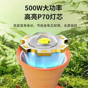 LED 12V - Product Image 2