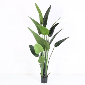 Intérieur faux <span class=keywords><strong>voyageur</strong></span> <span class=keywords><strong>banane</strong></span> jardin decorationartificial bananier - Product Image 2