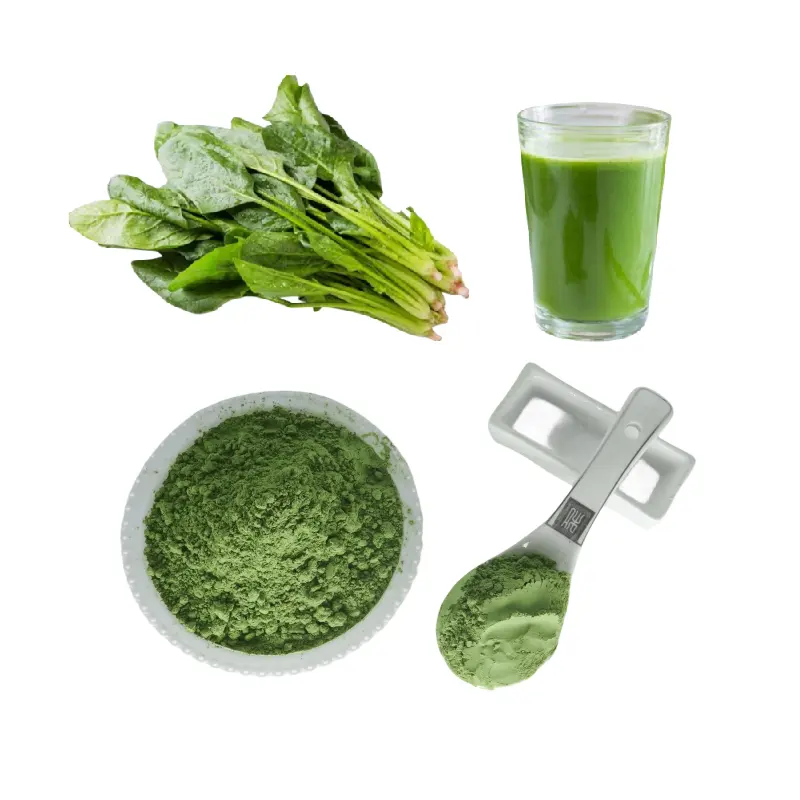 ODM OEM 100% Natural vegetable powder Dry Spinach Powder Spinach Leaf Extract /Spinacia oleracea/Spinach Juice Powder