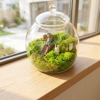 DIY 13*15cm Vase de table de terrarium en verre transparent pour la décoration intérieure de la maison et du mariage