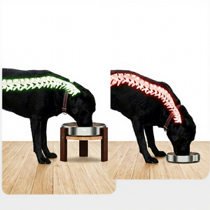 Supporto Moderno Rialzato per Ciotole per Cani in Legno Massello con Ciotola Lenta in Acciaio Inossidabile 304 per Cani di Taglia Media - Product Image 4