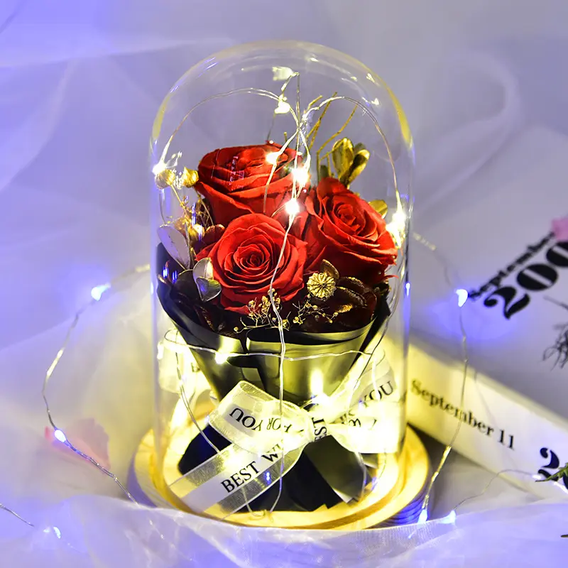 Roze Bewaarde Bloem Kerst Geschenkdoos Glazen Cover Led Nachtlampje Voor Altijd Eeuwigheid Rozen Voor Moederdag