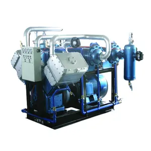 Compressor amigável de 10hp Cooperation 415V 22kW Compressor de biogás e amônia com secador de ar